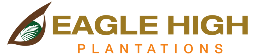 Gaji PT Eagle High Plantations Semua Profesi 2023 - Arsip Negara
