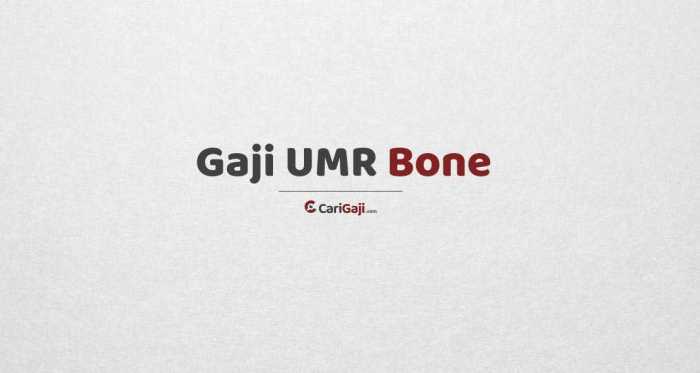 UMK Bone: Nilai Terbaru, Kenaikan Selama 5 Tahun, dan Faktor yang Mempengaruhi terbaru