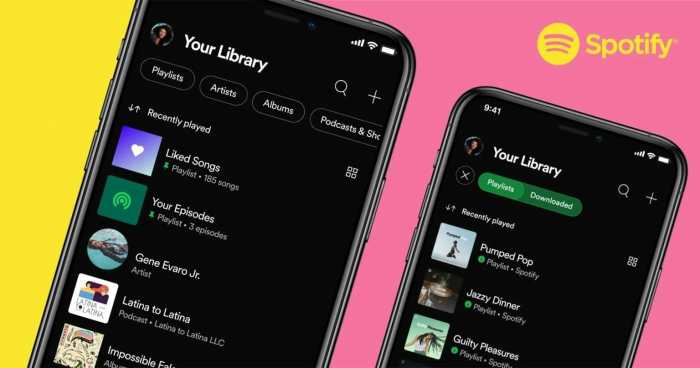 Nama Playlist Spotify