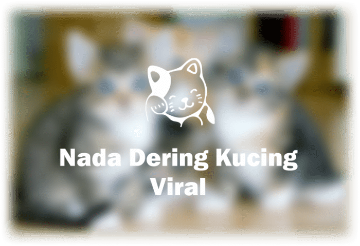 Nada Dering Kucing: Pilihan Nada Dering Lucu dan Menggemaskan terbaru