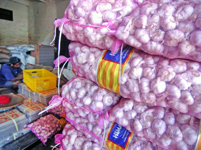peluang usaha bawang putih
