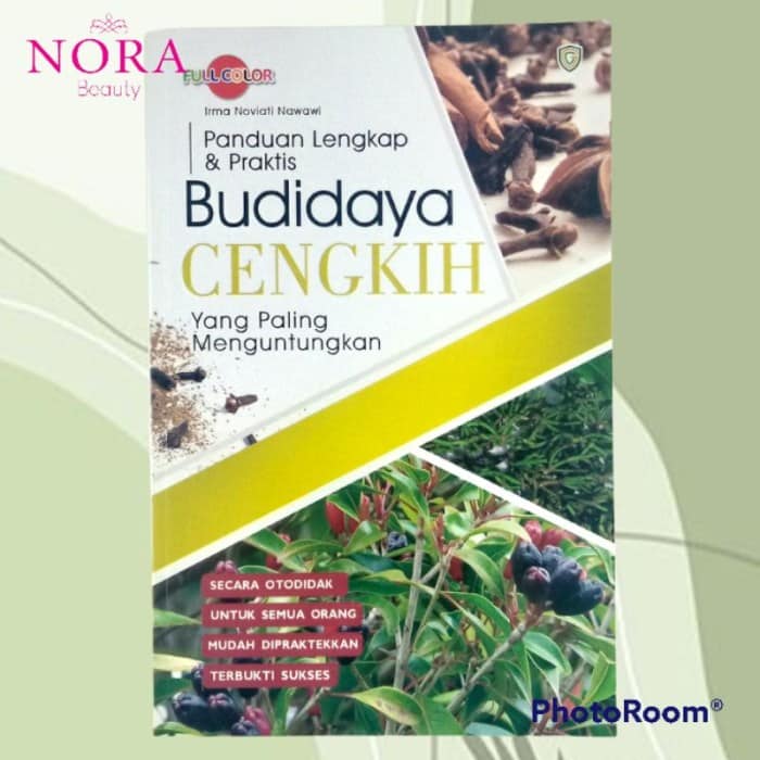 Bisnis Budidaya Cengkeh: Peluang dan Panduan Memulai Usaha Cengkeh terbaru
