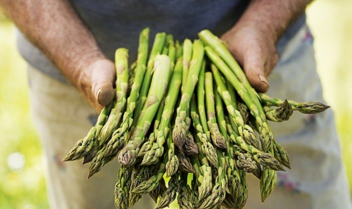 asparagus