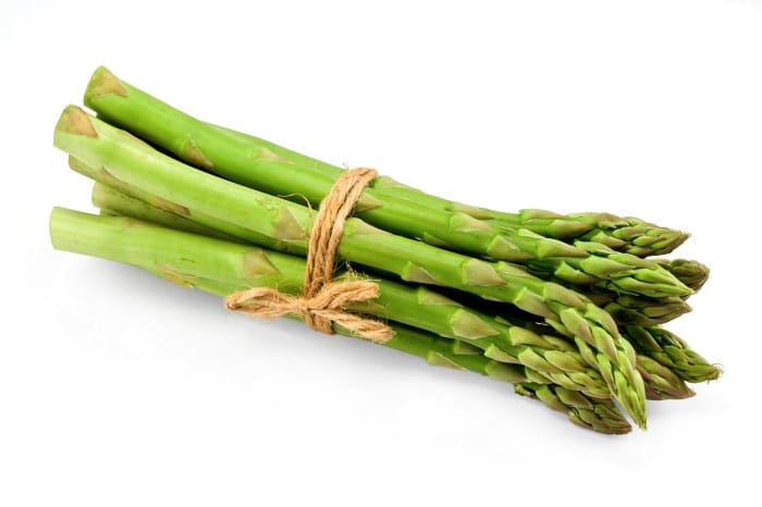 usaha asparagus