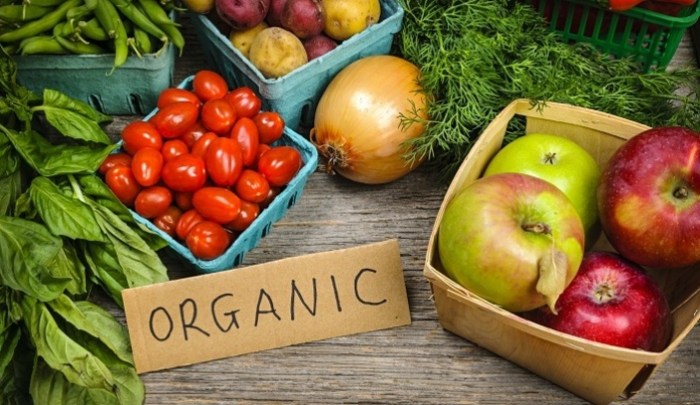 Peluang Usaha Sayur Organik terbaru Peluang Usaha Sayur Organik terbaru