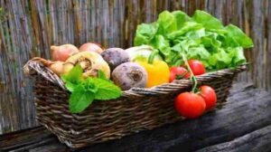 Peluang Usaha Sayur Organik terbaru