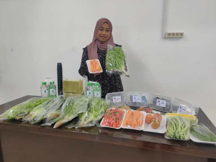 usaha sayur organik Peluang Usaha Sayur Organik terbaru