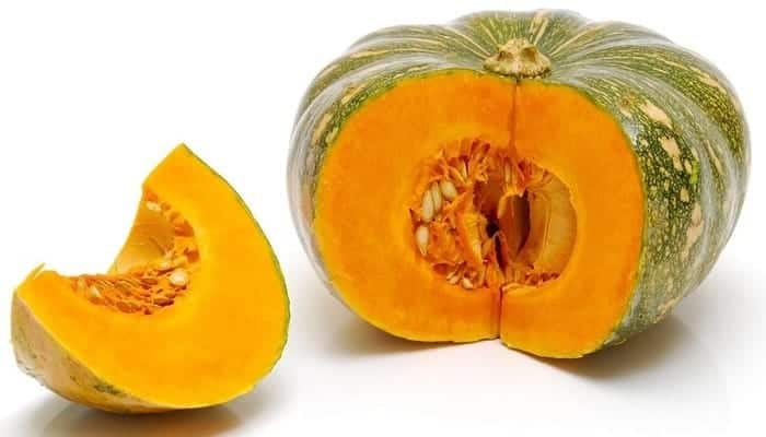 labu kuning moschata cucurbita budidaya belakang kebun