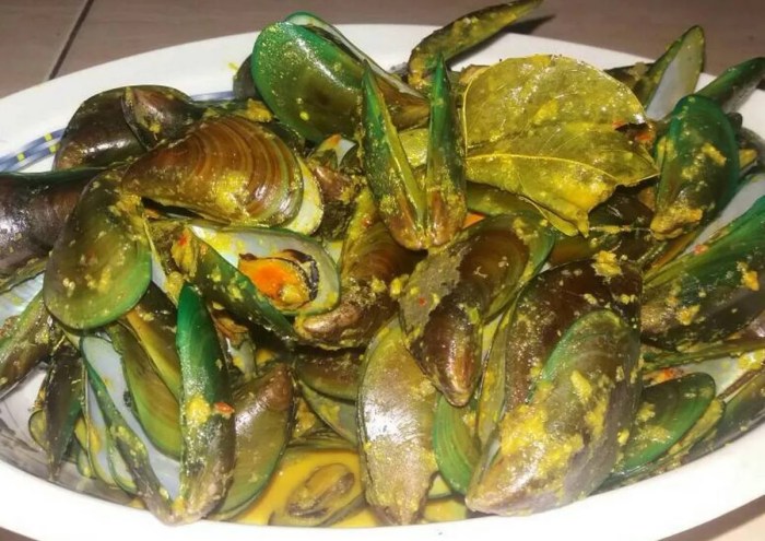usaha kerang hijau