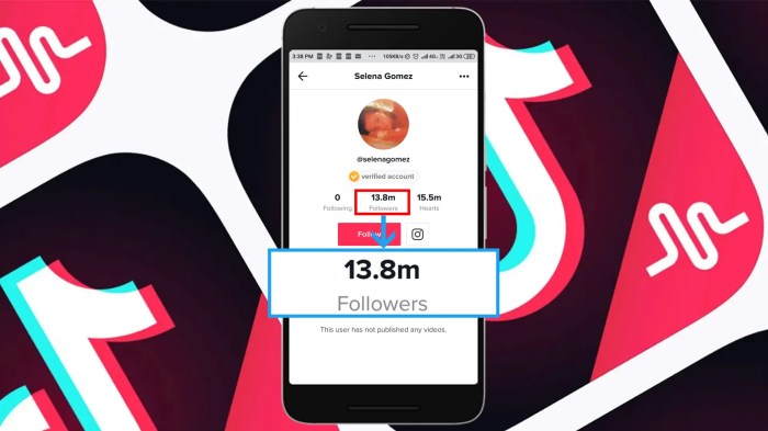 Link penambah followers tiktok