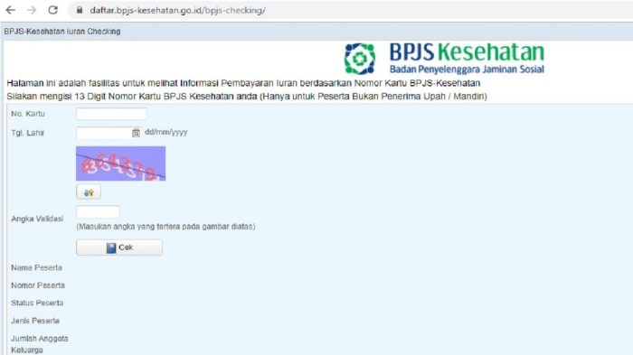 Mental illness impact life Cara mengurus bpjs kesehatan anak yang sudah tidak bisa ikut orang tua