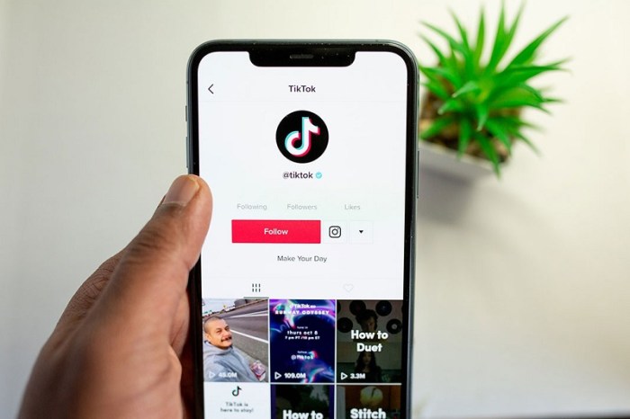 Tiktok tok tik follower permanent Fbsub de tiktok followers