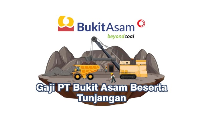 Review Gaji di PT Bukit Asam dan PT Timah