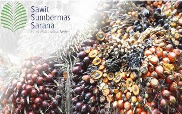 Gaji PT Sawit Sumbermas Sarana