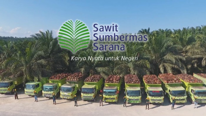 Gaji PT Sawit Sumbermas Sarana