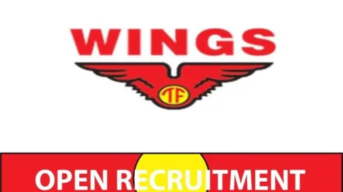 Gaji PT Wings Group Indonesia
