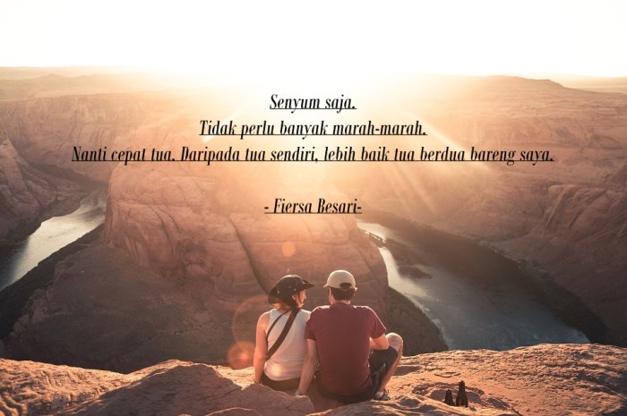 Kata fiersa besari