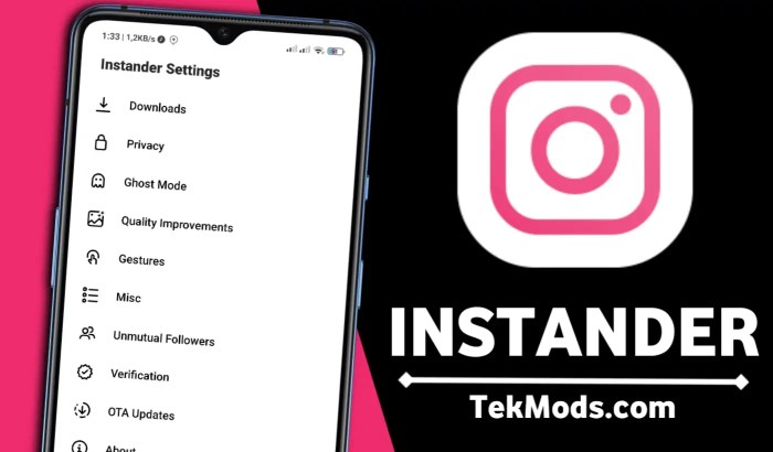 Download instander apk
