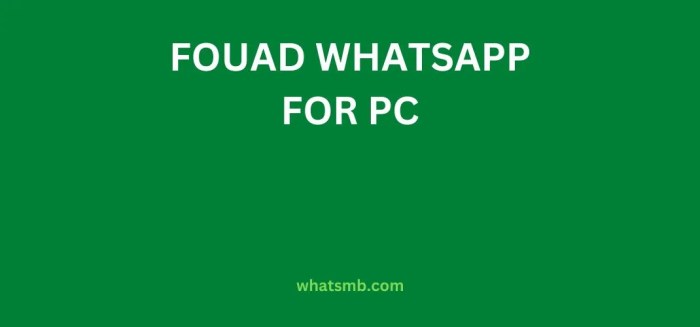 Fouad whatsapp 952