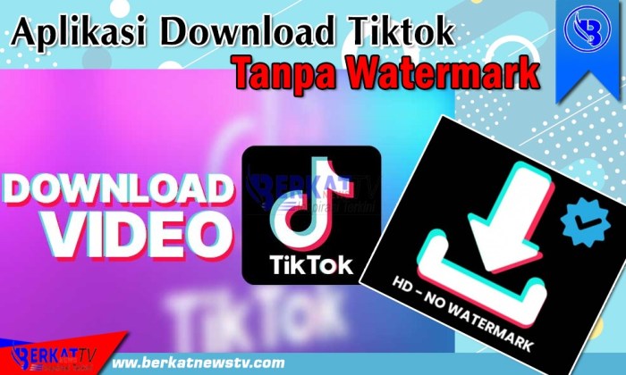 Tiktok tanpa watermark apk