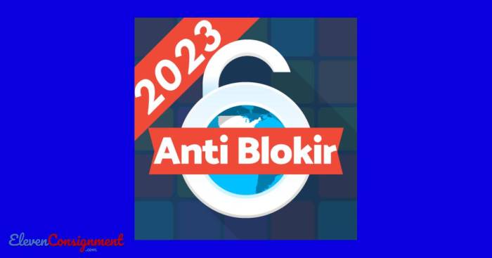 Unblock vpn websites