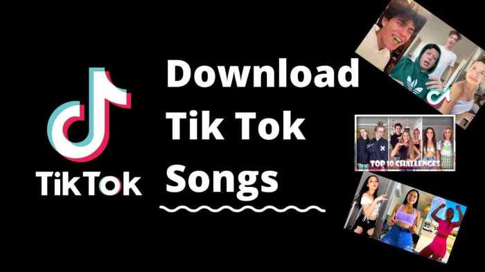 Widiastuti Cara download lagu tiktok mp3