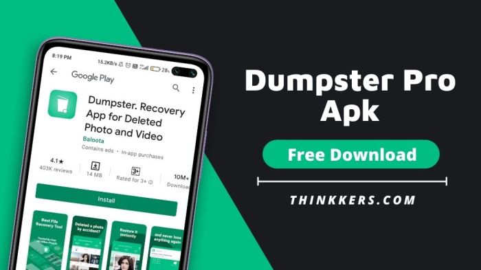 Download dumpster pro apk