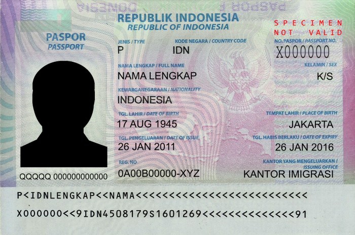 Download mpaspor