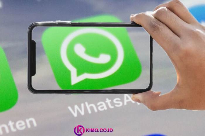 Download mb whatsapp