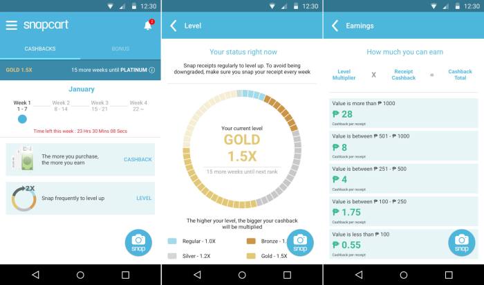 Download snapcart