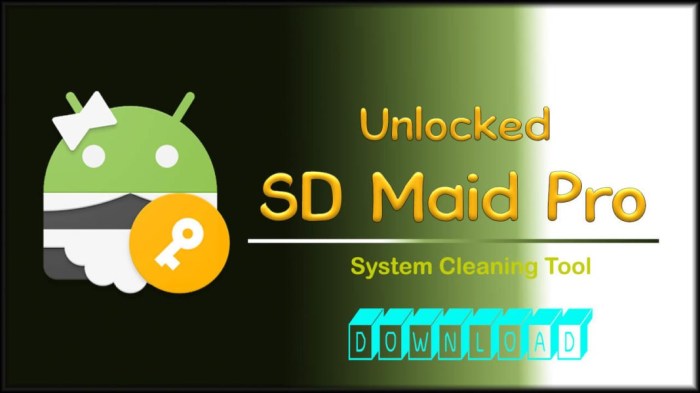Download sd maid pro apk