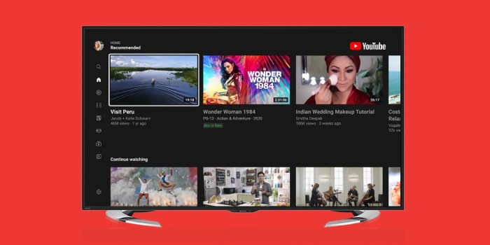 Smart youtube tv