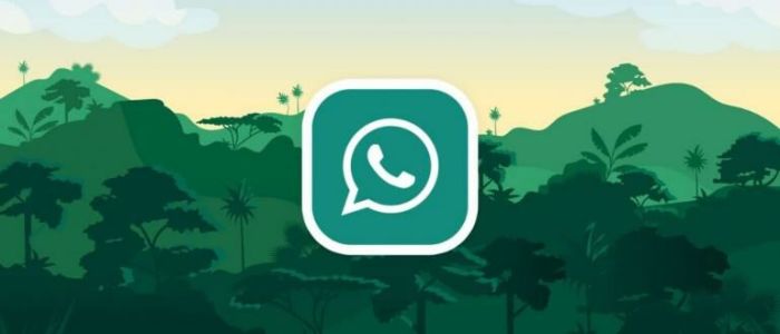 Android waves fouad whatsapp