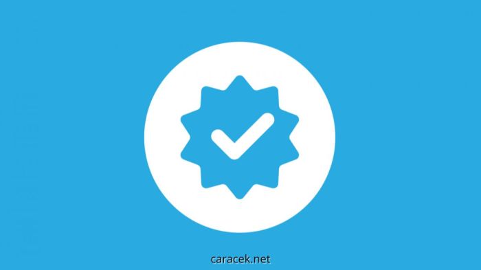 Tiktok blue tick injector