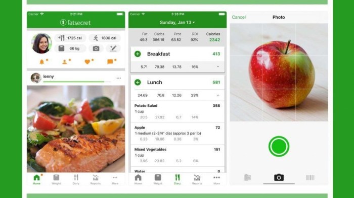 Loseit calorie badan aplikasi penurun berat losing bantu track notifications