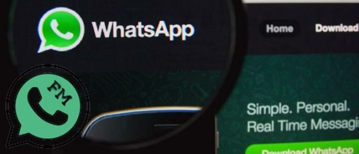 Fm whatsapp v962