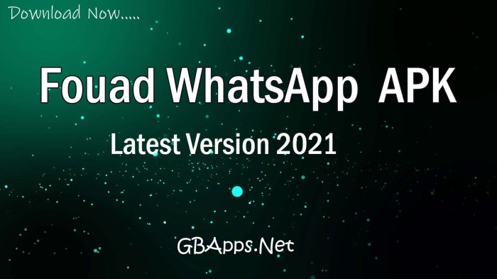 Fouad whatsapp 952