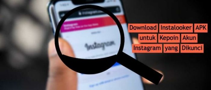 Download instalooker