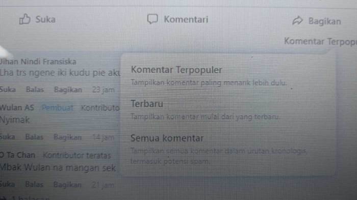 Cara menghindari kamu dari mempublish status konyol di facebook