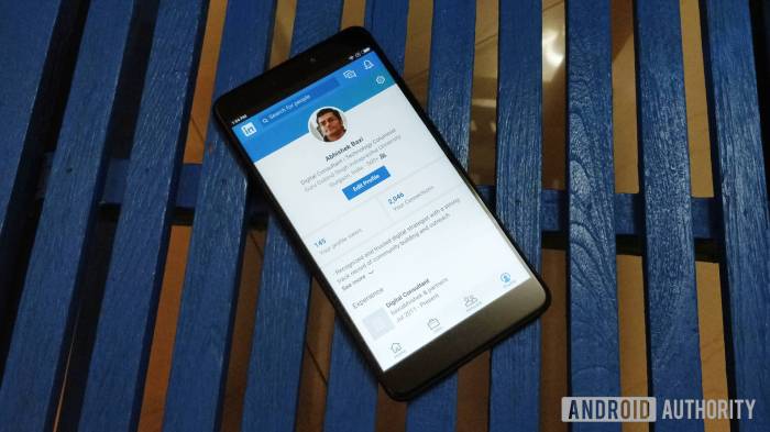 Linked lite di negara dunia