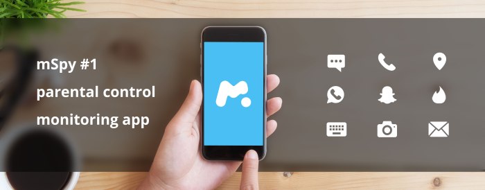 Mspy