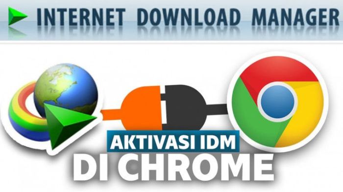 Cara mengaktifkan idm chrome