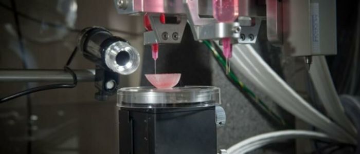 Peneliti organ tubuh printer 3d