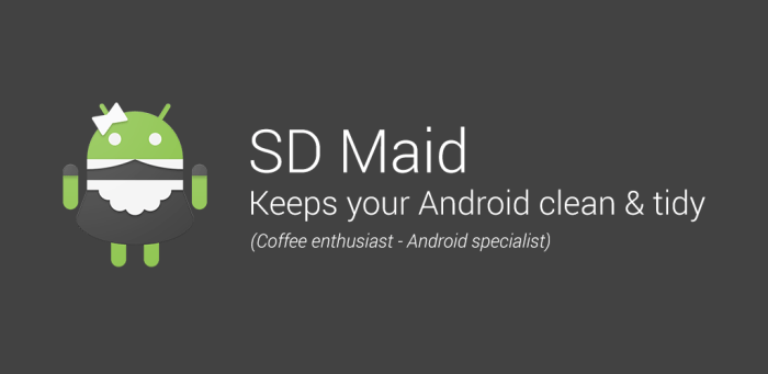 Download sd maid pro apk