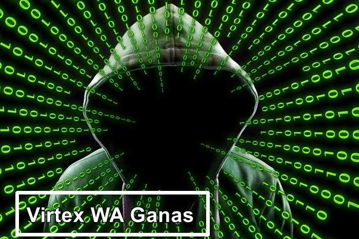 Link download tutorial salin virtex wa ganas update 2023
