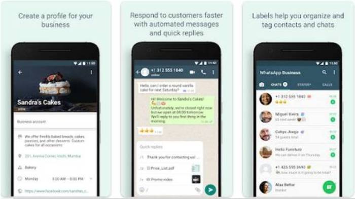 Aplikasi whatsapp business mod