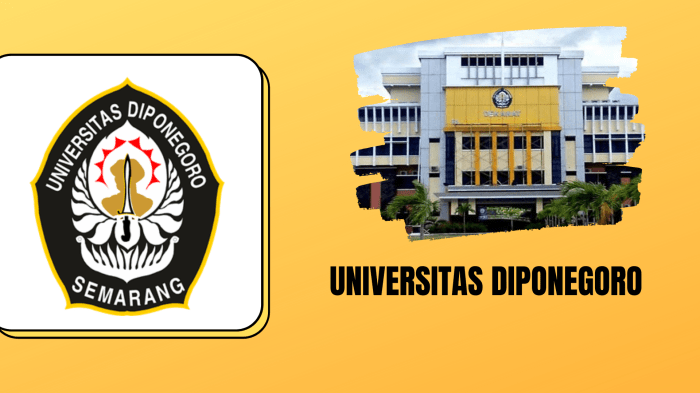 Gaji lulusan universitas diponegoro undip