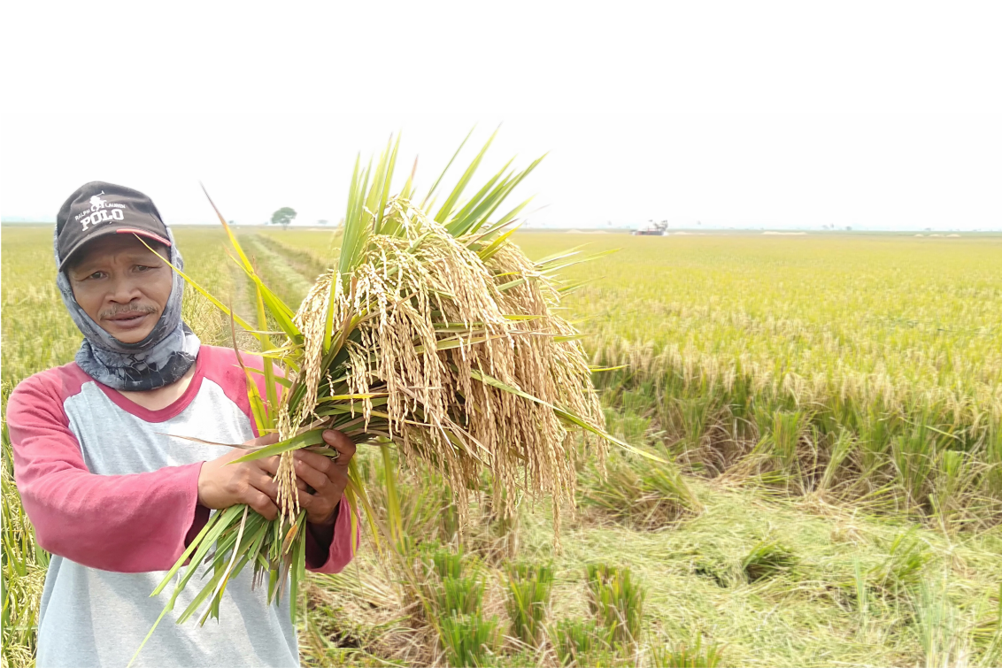 Gaji pt syngenta indonesia