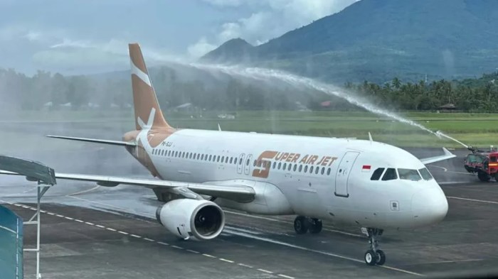 Berbiaya airline
