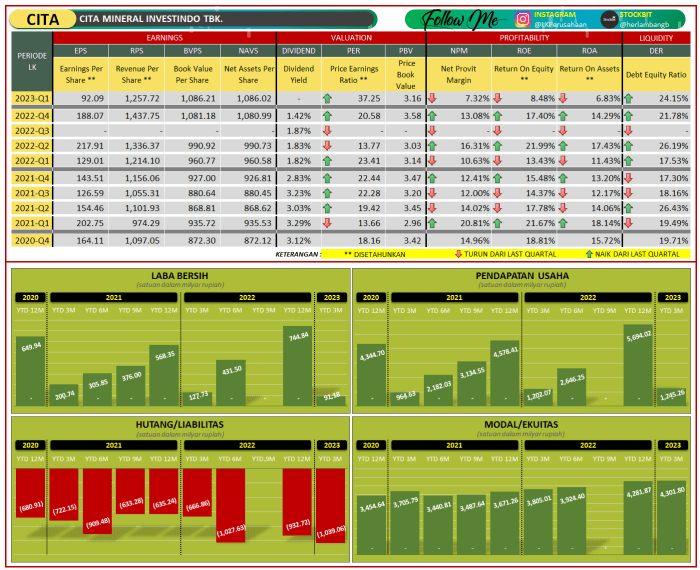 Gaji cita mineral investindo